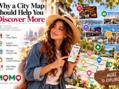 Meet MOMO: A Simpler Way to Discover What Your Community Offers