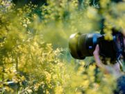 Everyday Photography: Finding a Story in Ordinary Moments MOMO Photo camera