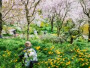 How to Photograph Everyday Places with More Feeling MOMO sunny photography