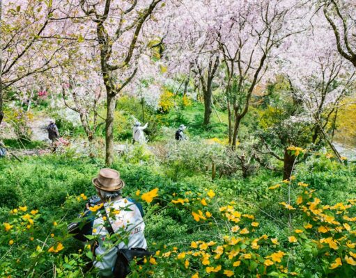 How to Photograph Everyday Places with More Feeling MOMO sunny photography